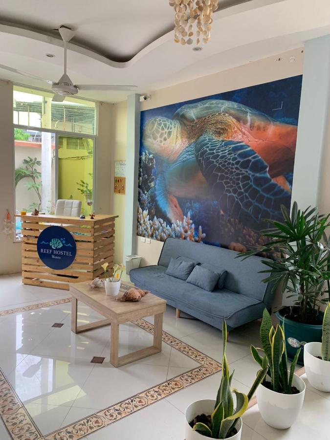 Reef Hostel Manta Extérieur photo